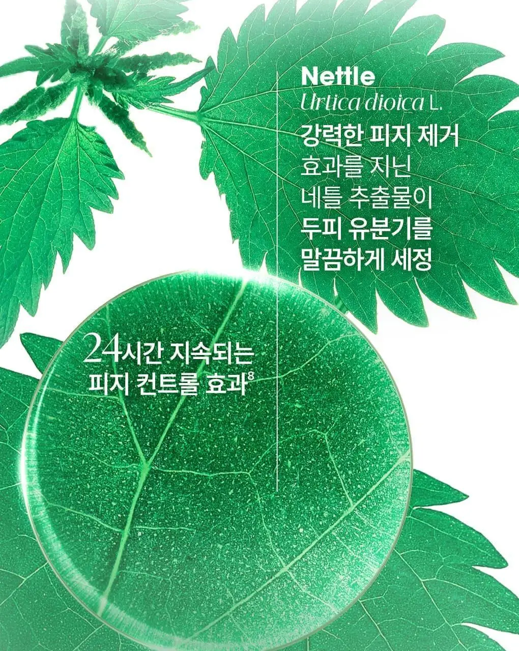 [지성두피 & 피지 제거] 클로란 네틀 노세범 샴푸 400ml 상세페이지 10